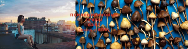 марки nbome Бородино