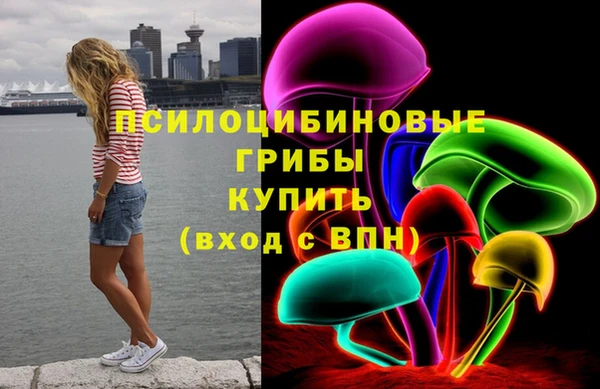 марки nbome Бородино