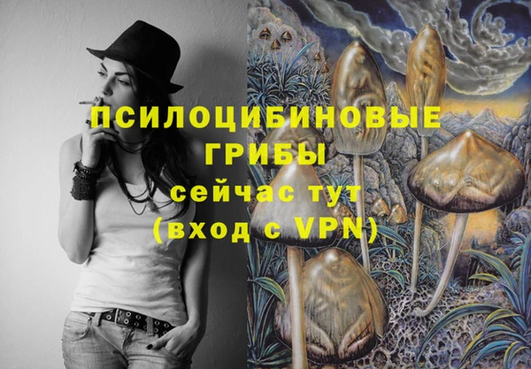 спиды Бугульма