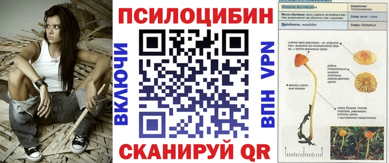 Галлюциногенные грибы Psilocybe  Краснослободск 
